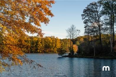 Planos sem custo em Gaithersburg, MD