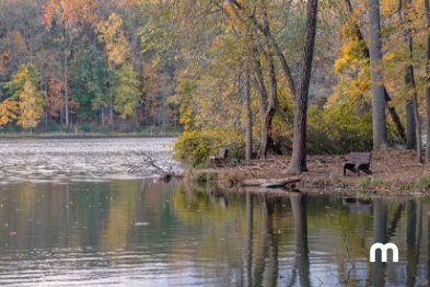 Explore Gaithersburg, MD, em 3 dias