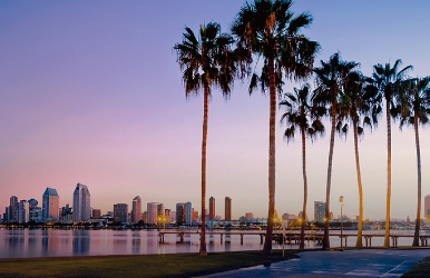 Car rentals in downtown San Diego Car rentals in downtown San Diego