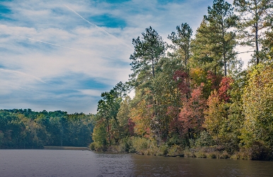 Alamo rental cars in Douglasville, GA