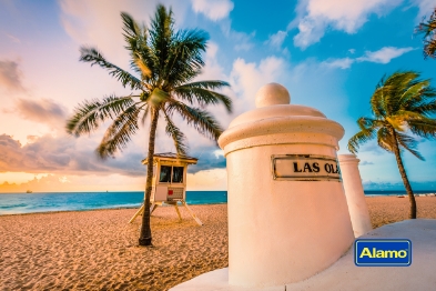 Address of the Alamo branch in Fort Lauderdale How to get to the Alamo Rent a Car offices in Fort Lauderdale?
