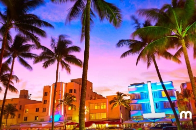 Pick up the rental car at the best locations in Miami  Car rental agency with more locations in Miami