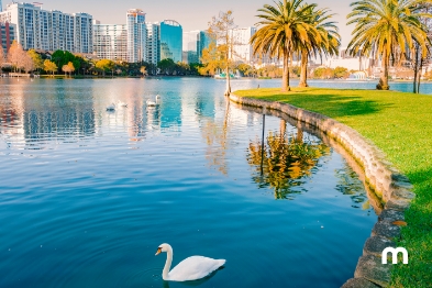 Best route to get from Orlando to Fort Lauderdale in a car How to get from Orlando to Fort Lauderdale in a car quickly?