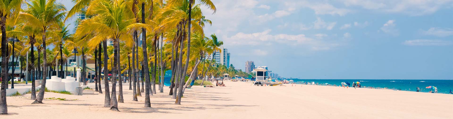 Dicas para alugar um carro com as ofertas da Cyber ​​​​Week