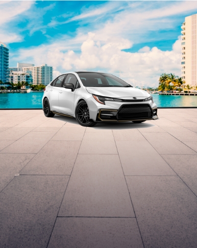 Locação de veículos econômicos em Downtown Fort Lauderdale  Aluguel de carros compactos no Centro de Fort Lauderdale
