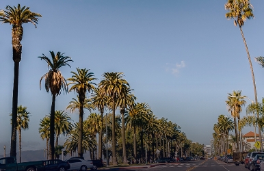 Carros baratos de alquiler en Wilshire Boulevard