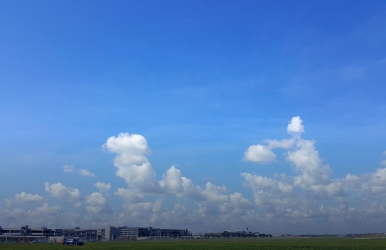 Alquiler de carros baratos en el Aeropuerto de Tampa, Florida