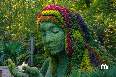 Vida noturna em Atlanta