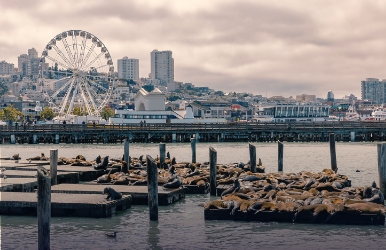 Renta de vehículos de lujo en Fishermans Wharf