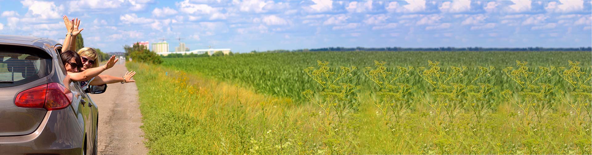 Comentários sobre aluguel de carros com a Thrifty em Orlando