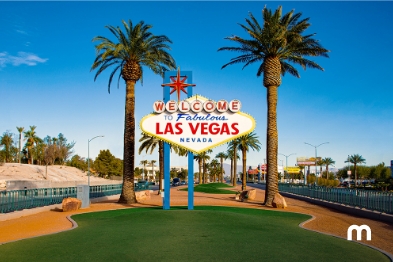 Discover Red Rock Canyon, an oasis in the desert