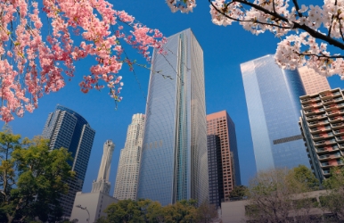  Vans para alugar no Centro de Los Angeles